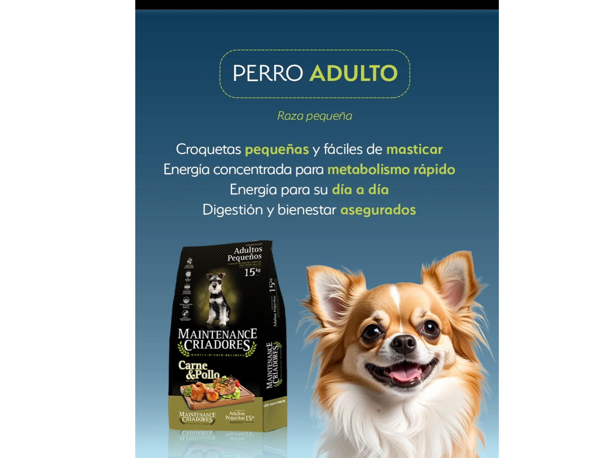 Maintenance adulto raza pequeña