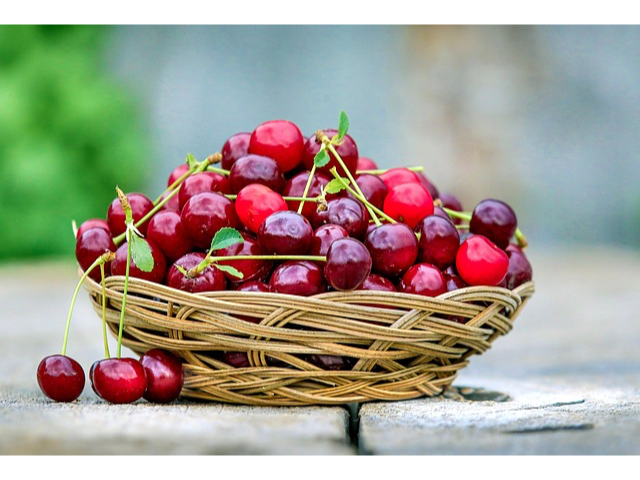 Cereza