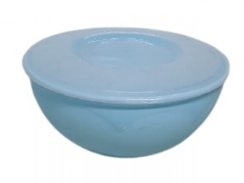 BOWL CON TAPA 5 LT MP