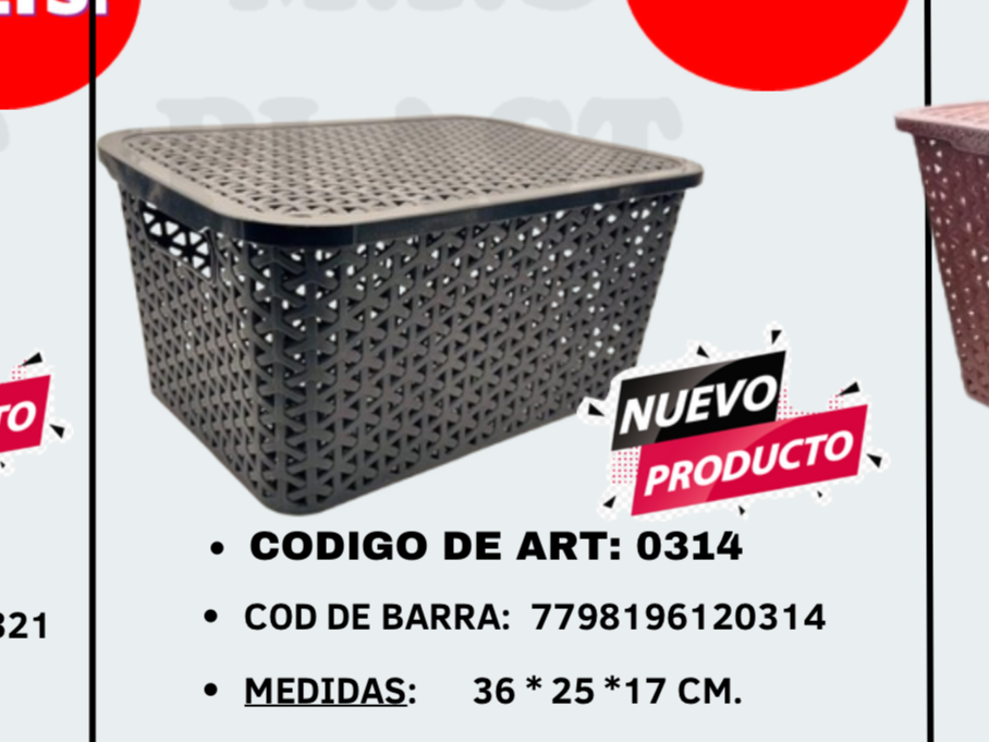 CAJA CON TAPA MEDIANA 16 lt MP