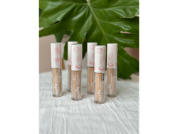 Corrector MELU