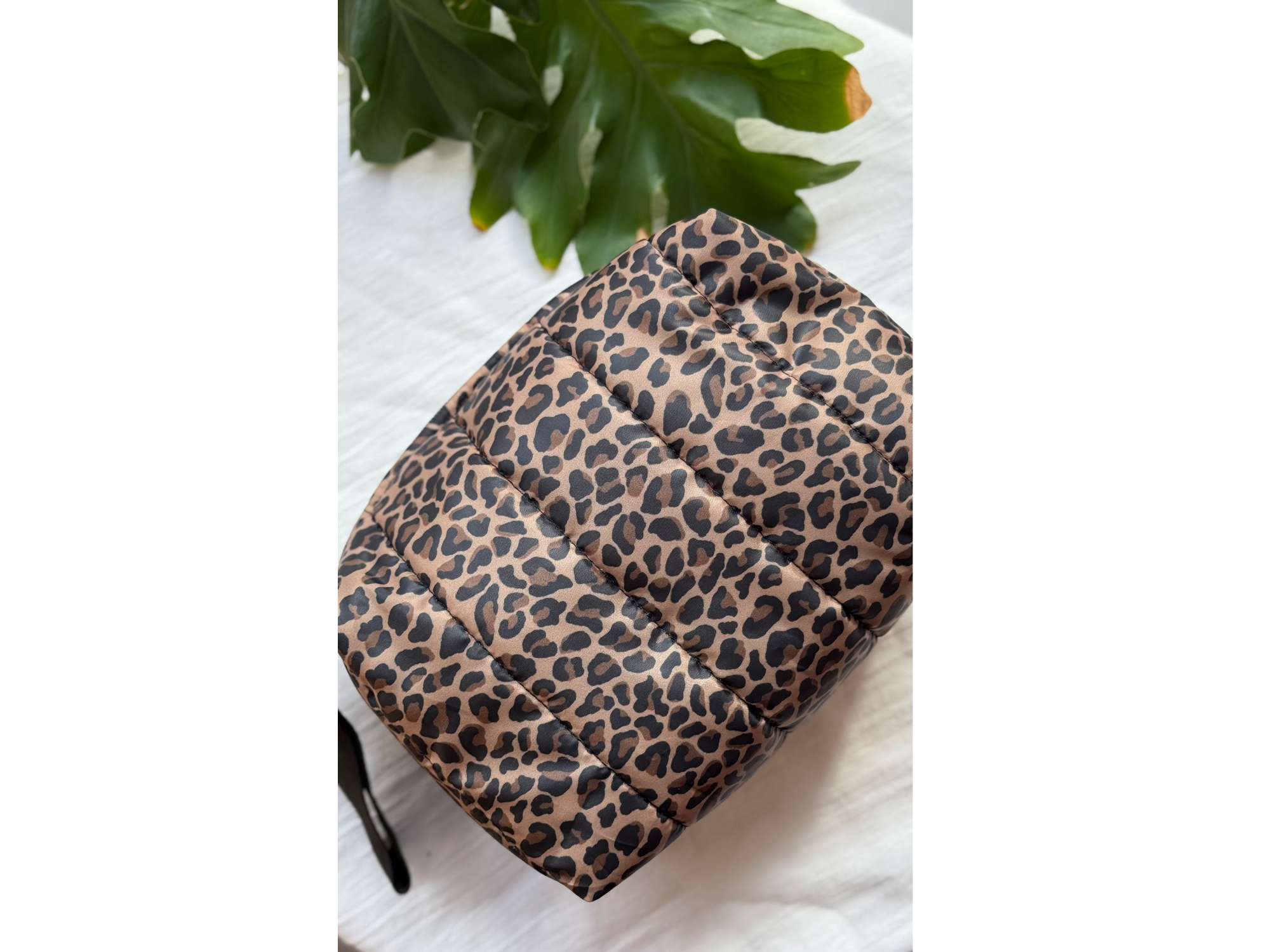 Animal print