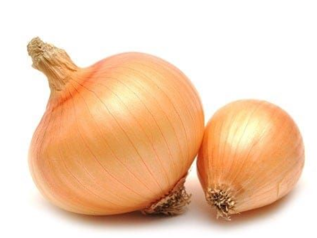 Cebolla común