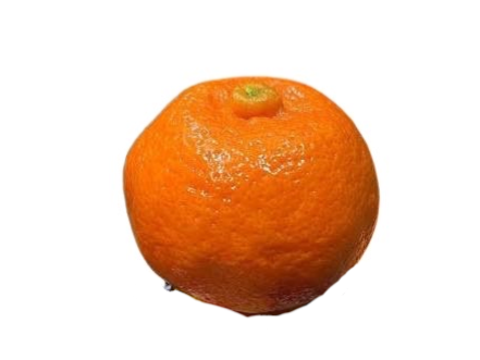 Mandarina Dancy