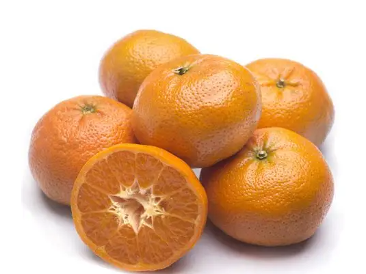 Mandarina Afourer