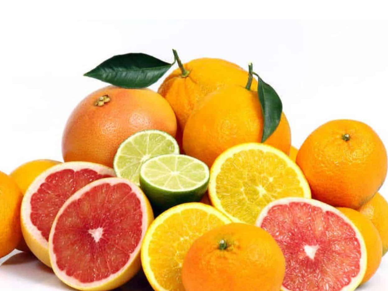 Bolson citrico