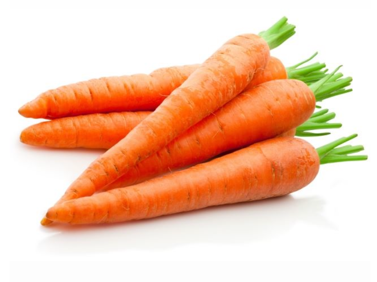 Zanahoria