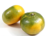 Mandarina Criolla