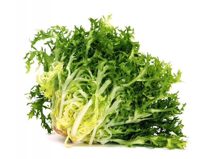 ESCAROLAS