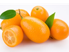 Quinoto
