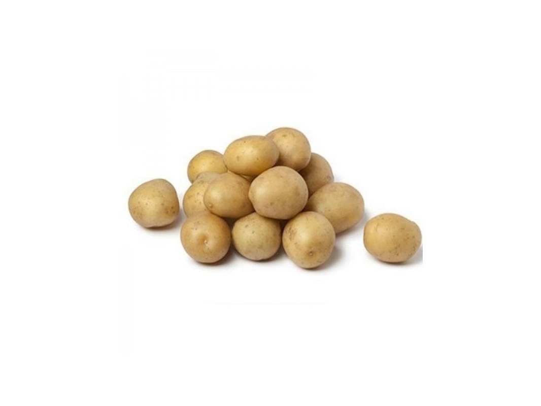 Papin andino x 250gr