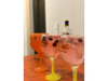 Gin Tonic Frutos Rojos