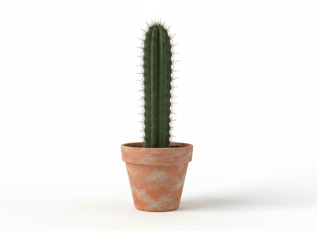 Cactus columnar