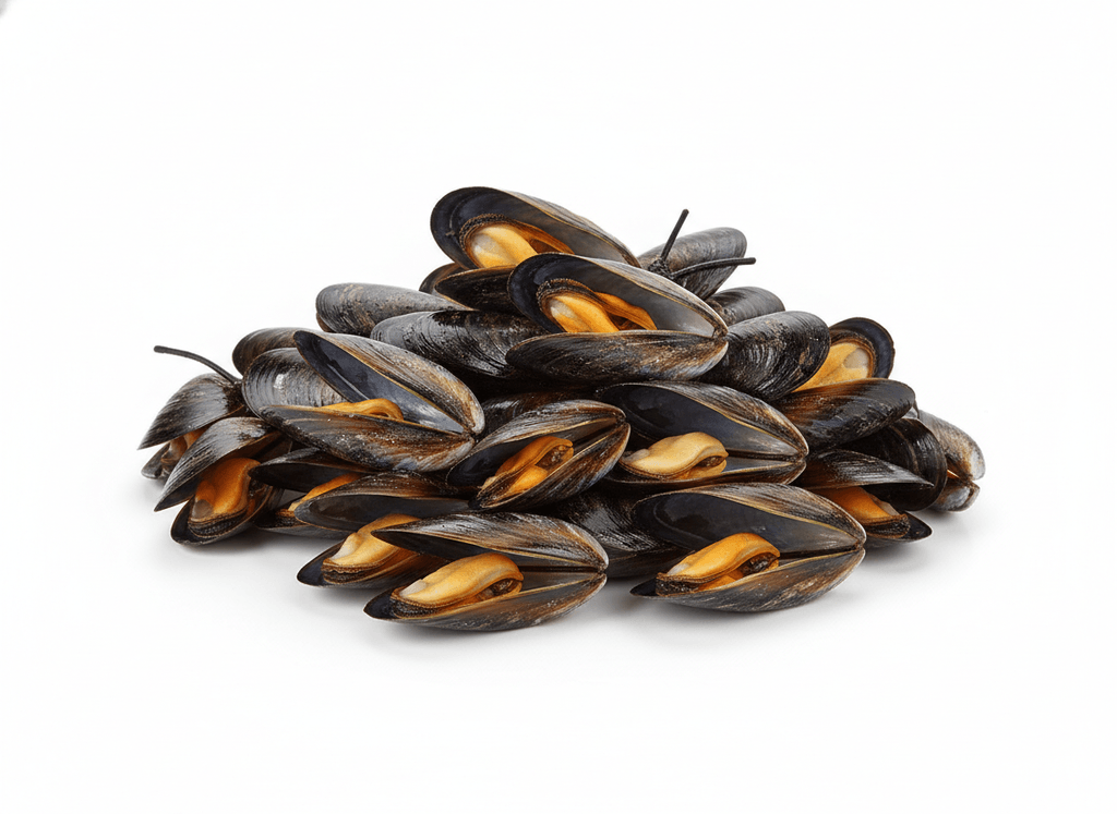 Mejillones