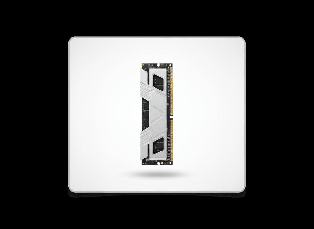 Memoria RAM DDR4 16 GB