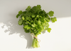 Cilantro