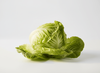 Lechuga mantecosa