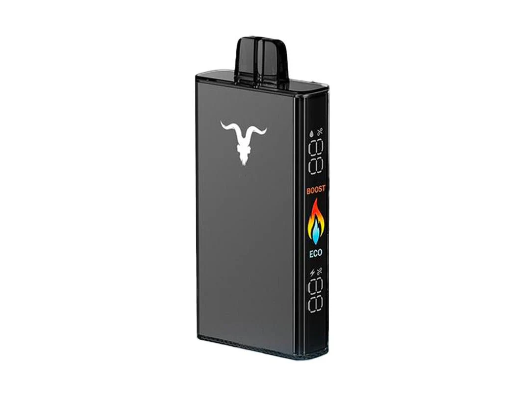 V250 25000 puffs