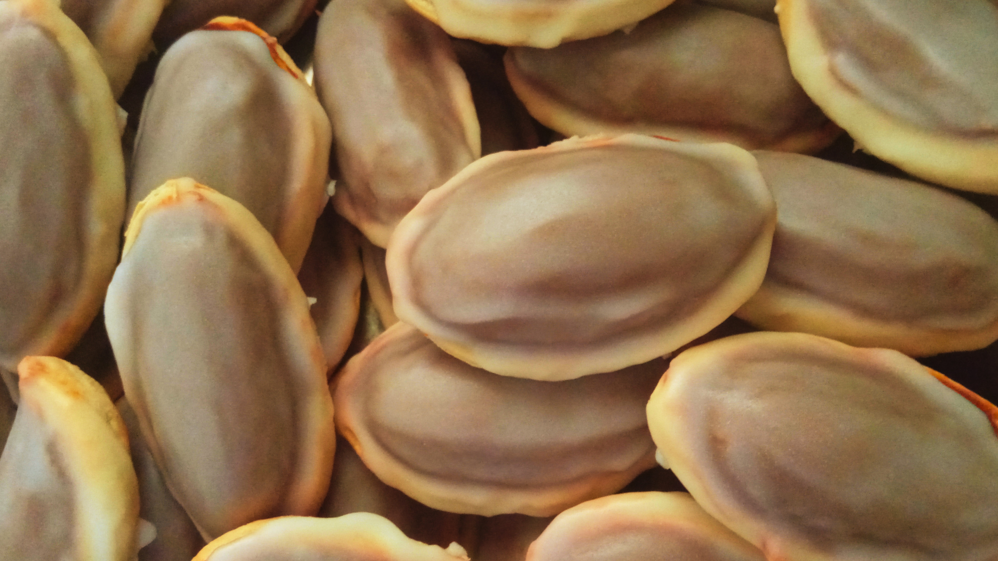 COLACIONES