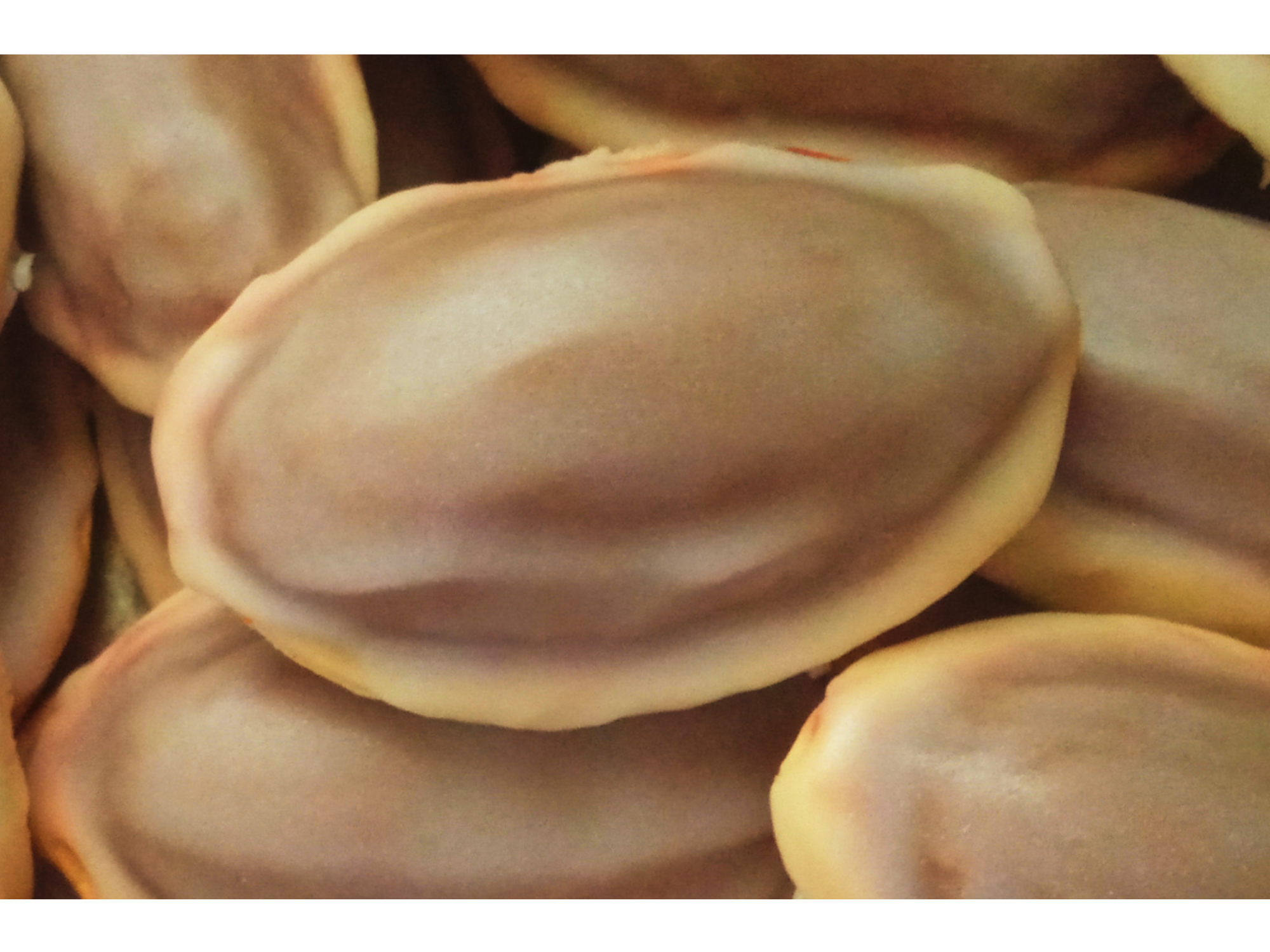 Colaciones por unidad