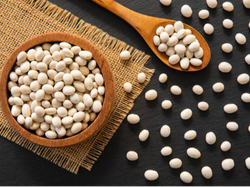 Poroto blanco alubia