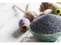 Semillas de Amapola  x 100 gms