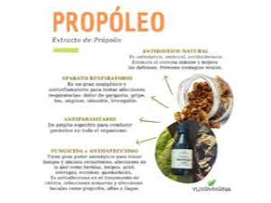 Propoleo x 30 ml