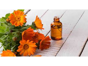Aceite de Calendula 50 ml