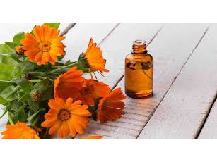 Aceite de Calendula 40 ml