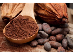 Cacao Amargo puro