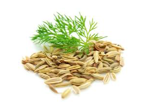 Hinojo ( Semillas ) x 25grs