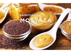 Mostaza ( Semillas ) x 25grs