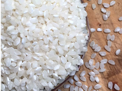 Arroz koshihikari (sushi)