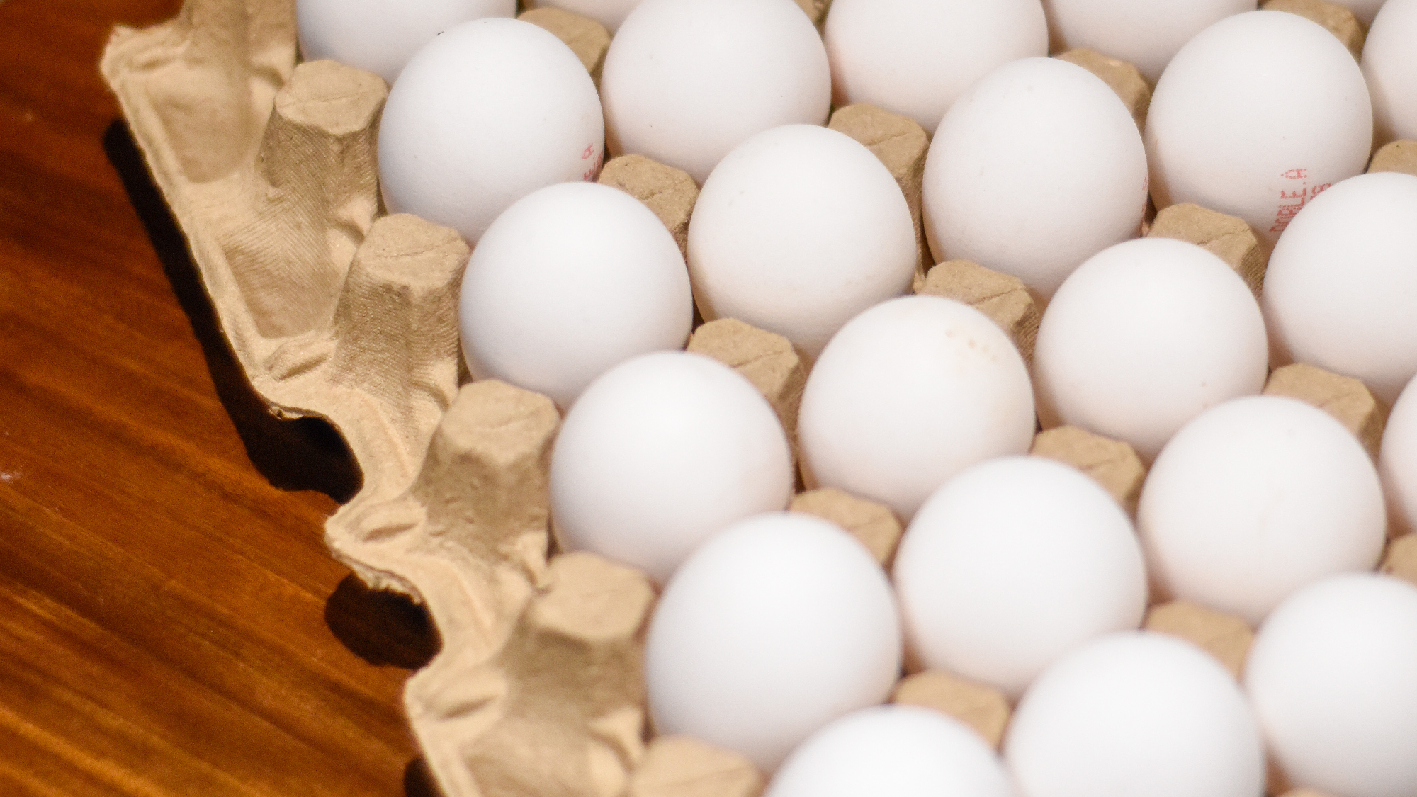 Huevos B1