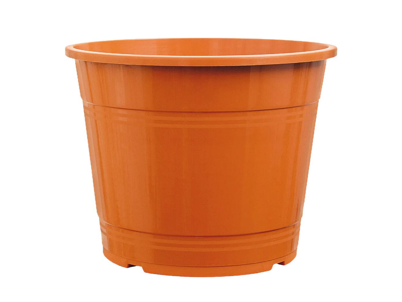 Distribuidora Yerba Buena ROCIO distribuidora-yerba-buena-rocio