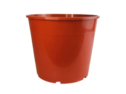 VIVERO