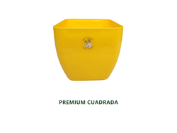 PREMIUM CUADRADA