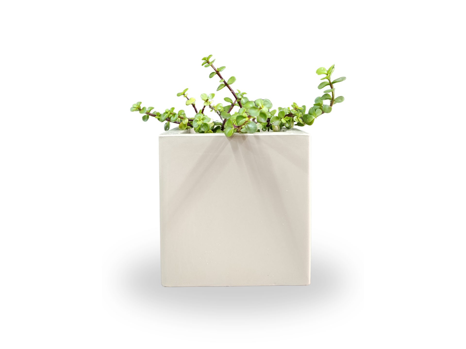 CUBO ROTOMOLDEADO 20X20