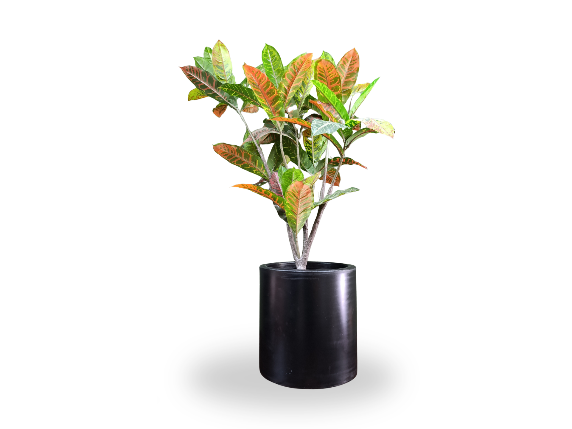 CILINDRO CHICO ROTOMOLDEADO 30X30