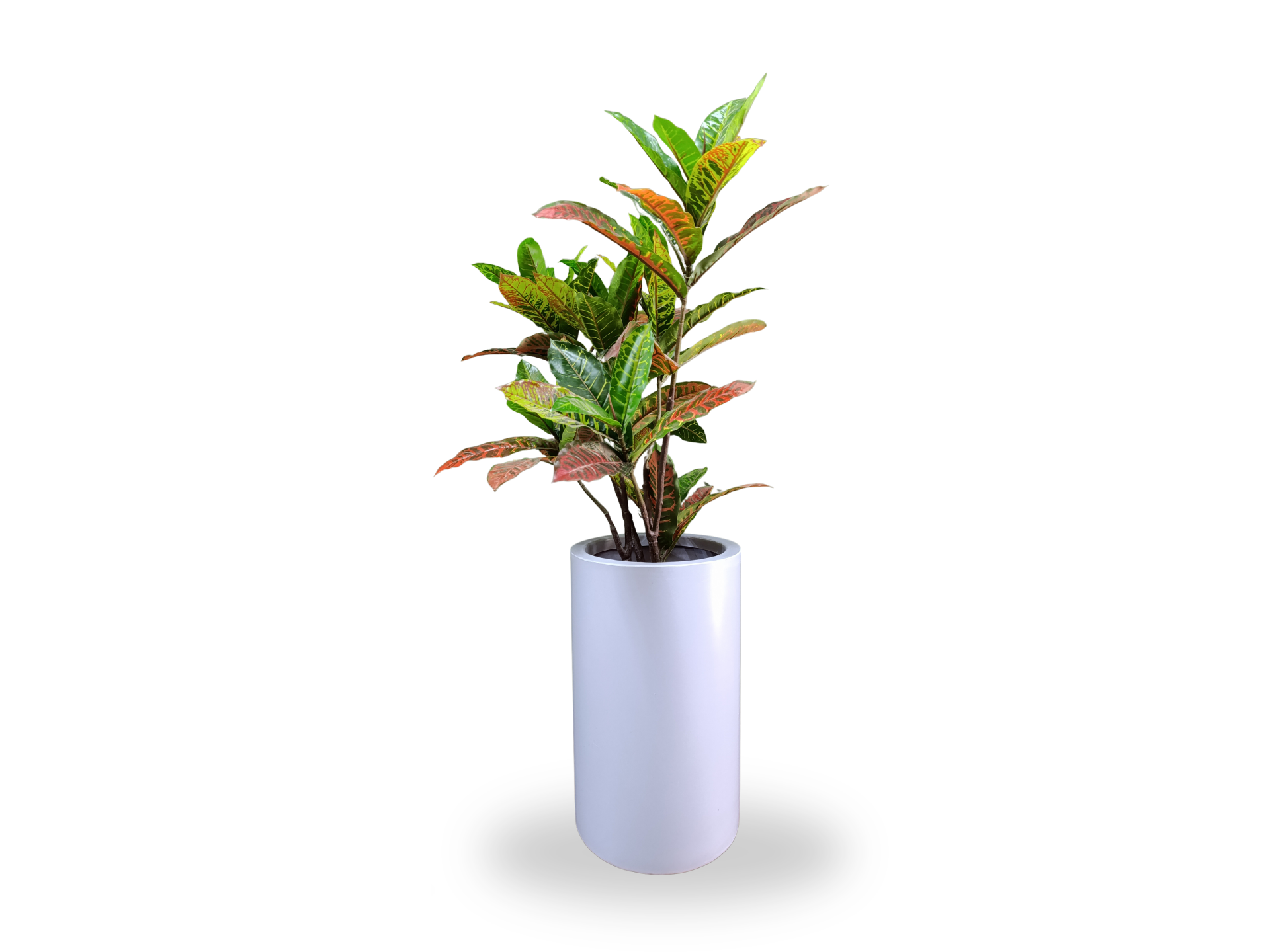 CILINDRO ALTO  50X30 ROTOMOLDEADO