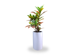 CILINDRO ROTOMOLDEADO ALTO 50X30