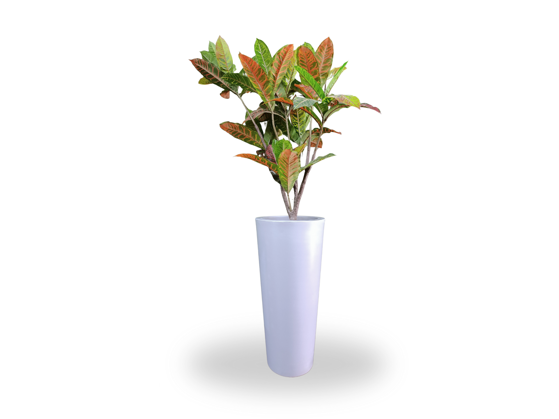 CONO CHICO ROTOMOLDEADO 25X43