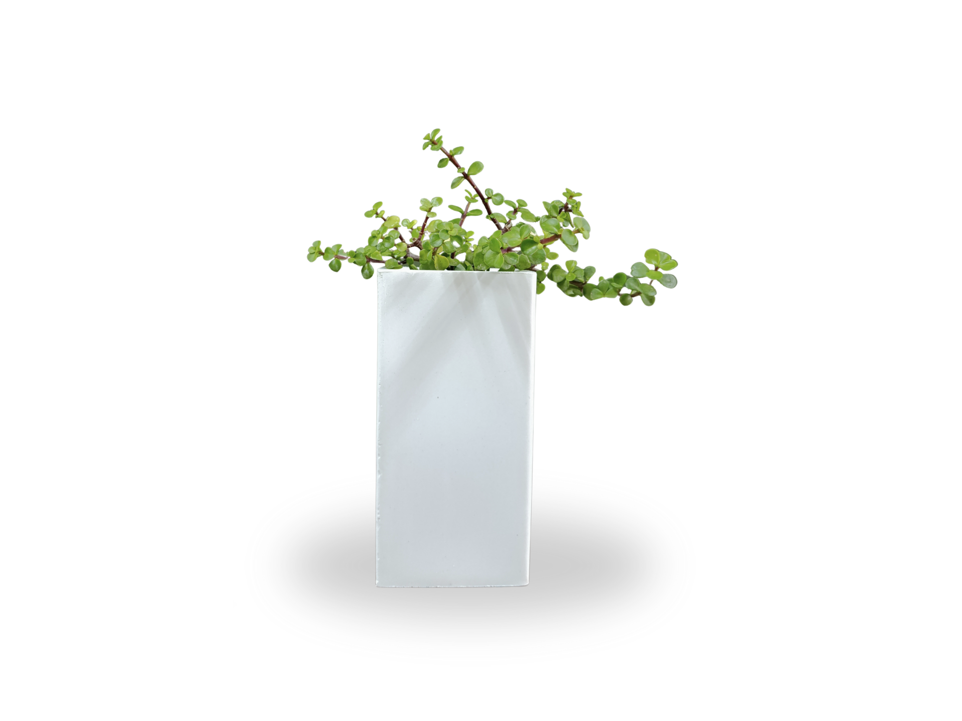 PRISMA ROTOMOLDEADA 15X15X30