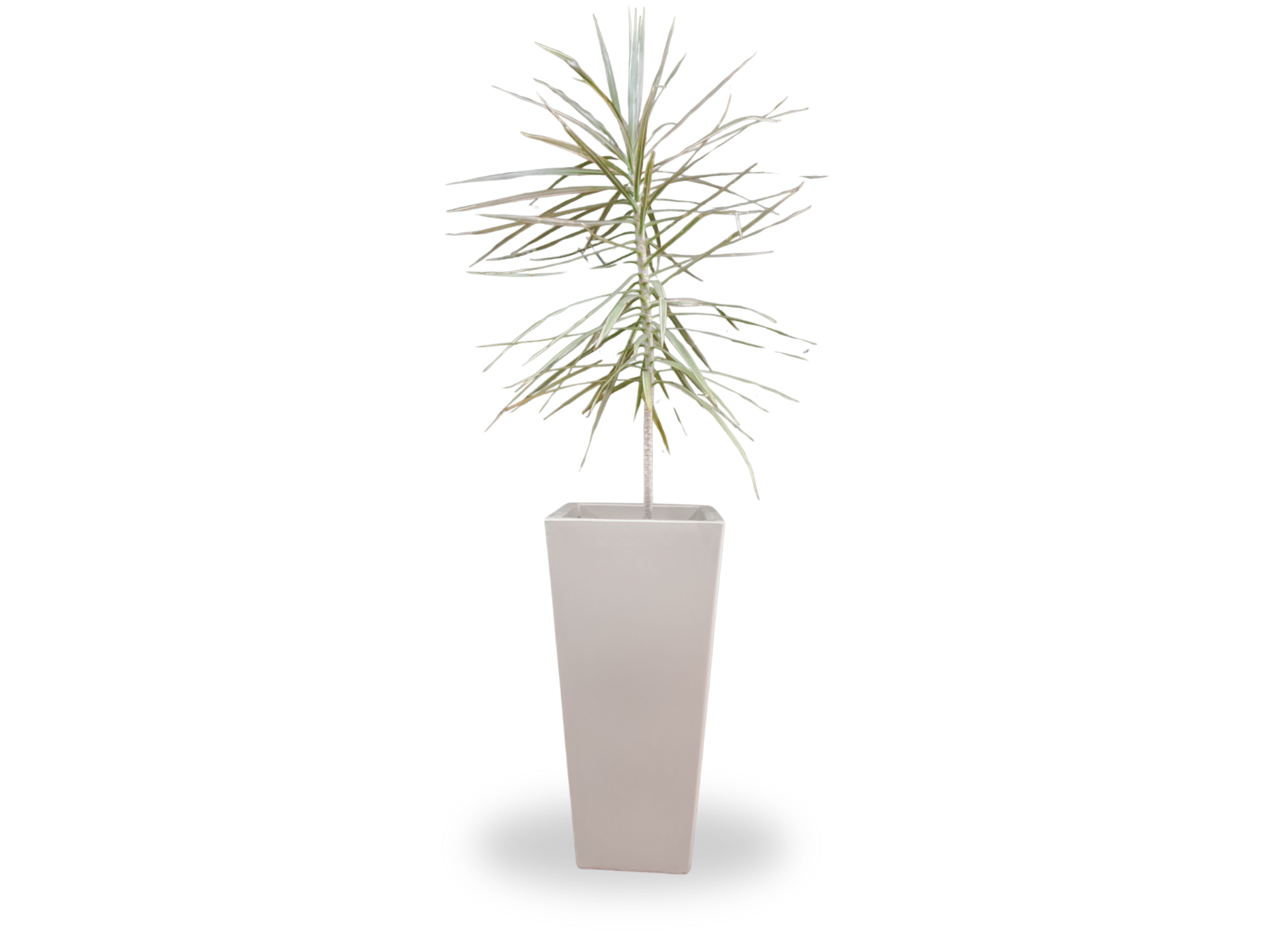 PIRAMIDAL ROTOMOLDEADA 28X58