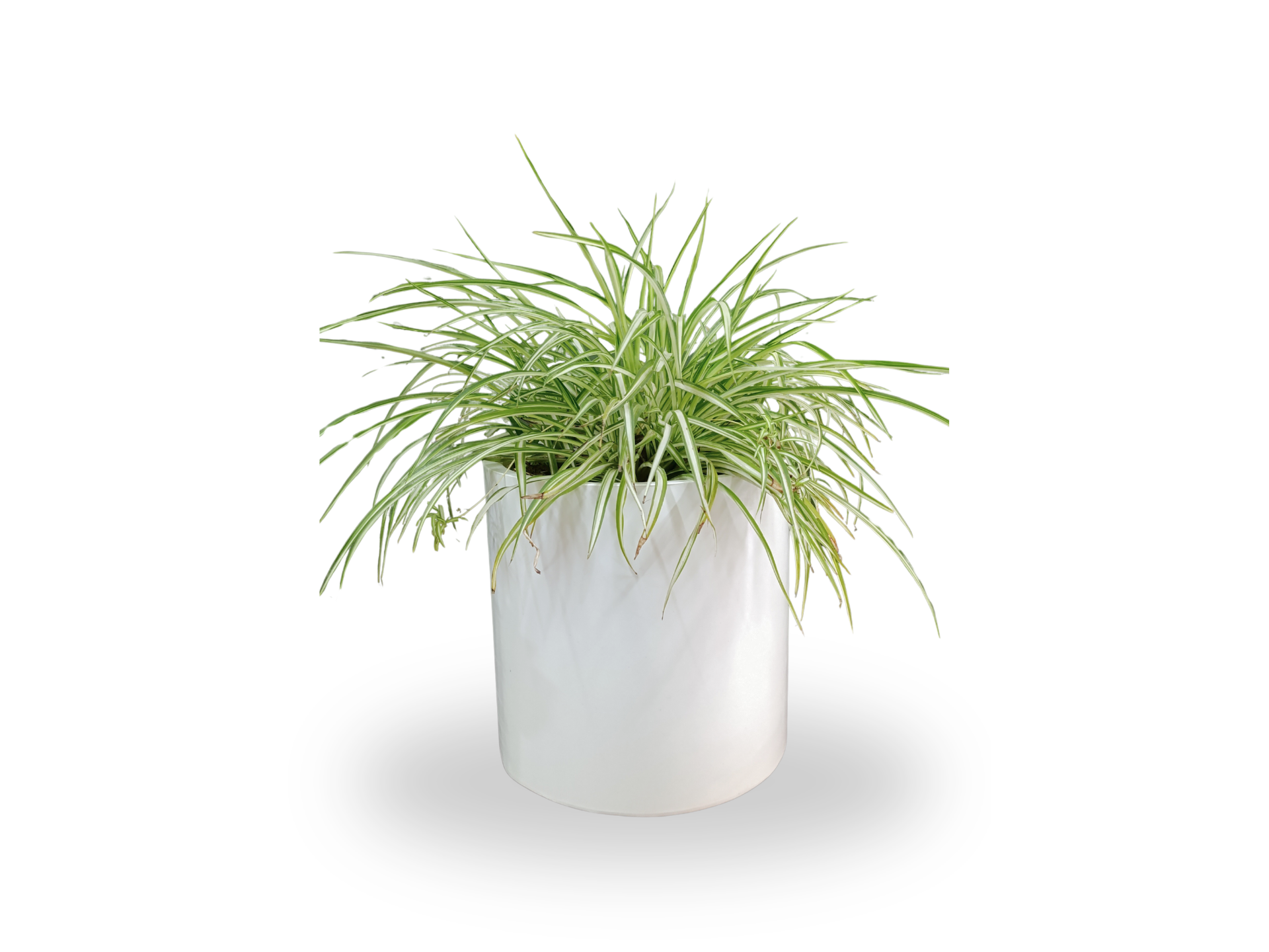 CILINDRO GRANDE ROTOMOLDEADO 40X40