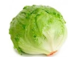 Cajon Lechuga Repollada