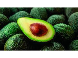 Palta Hass