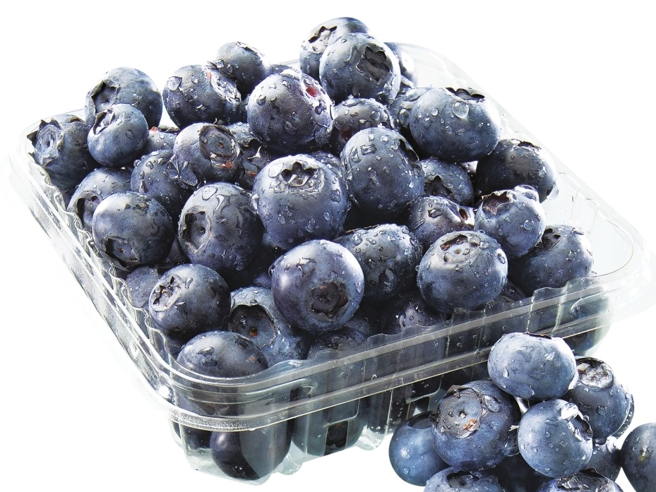 Bandeja de Arandanos x 125grs