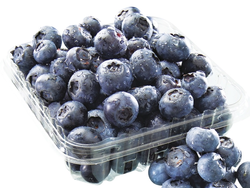 Bandeja de Arandanos x 125grs