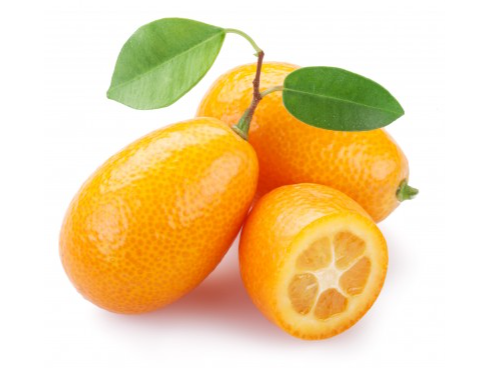 Quinoto x 1/2 kg